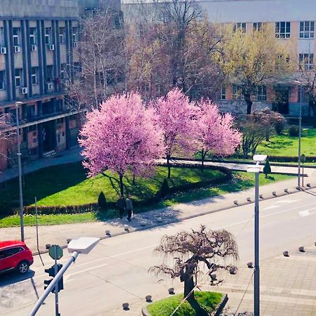 Bella Apartments Kruševac Buitenkant foto