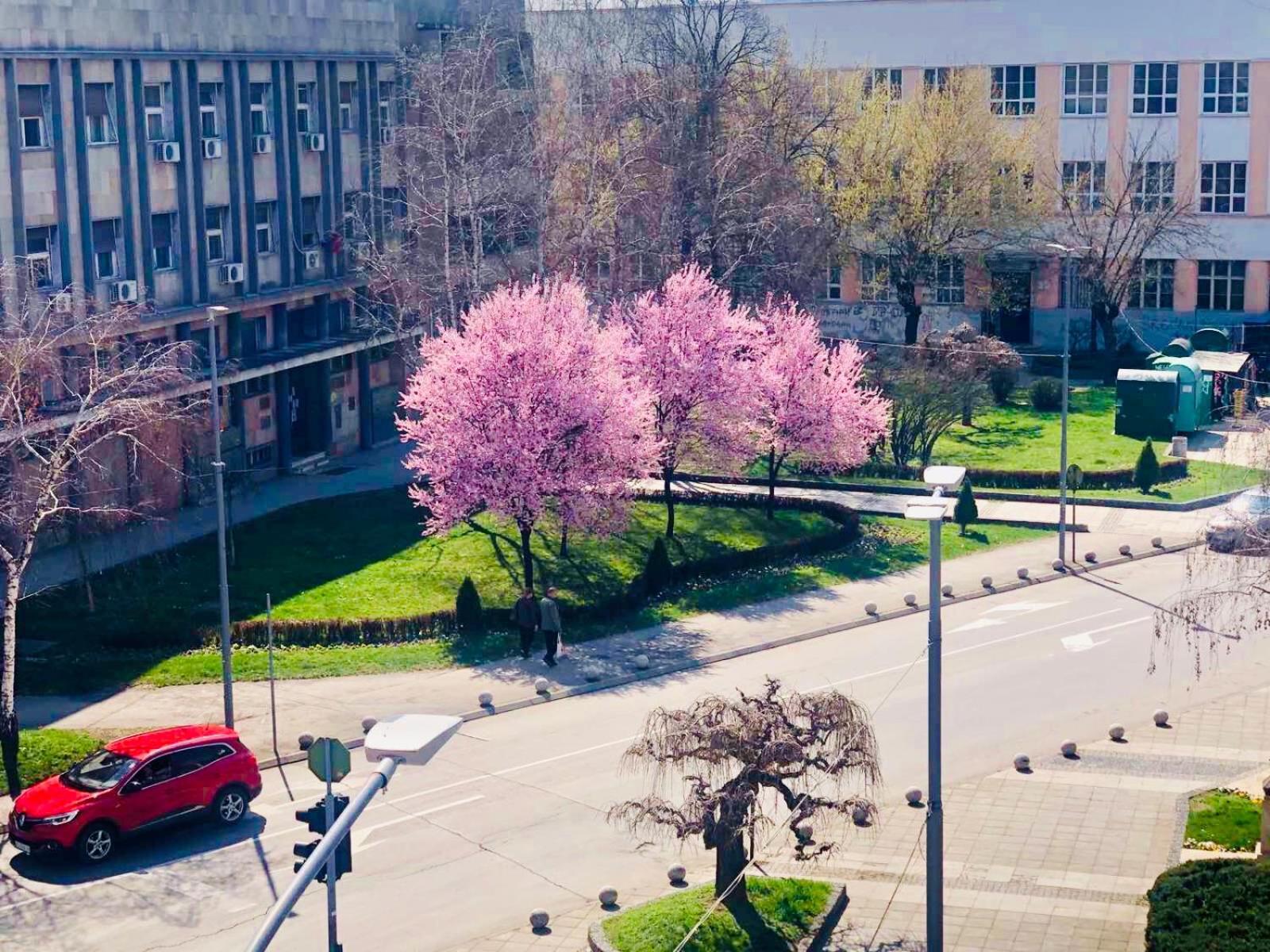 Bella Apartments Kruševac Buitenkant foto